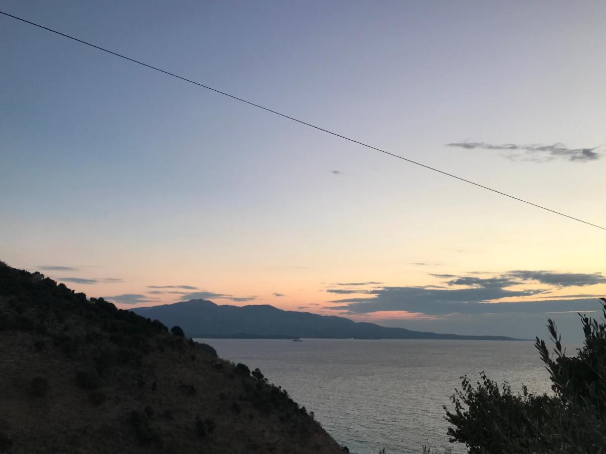 Bedro Saranda